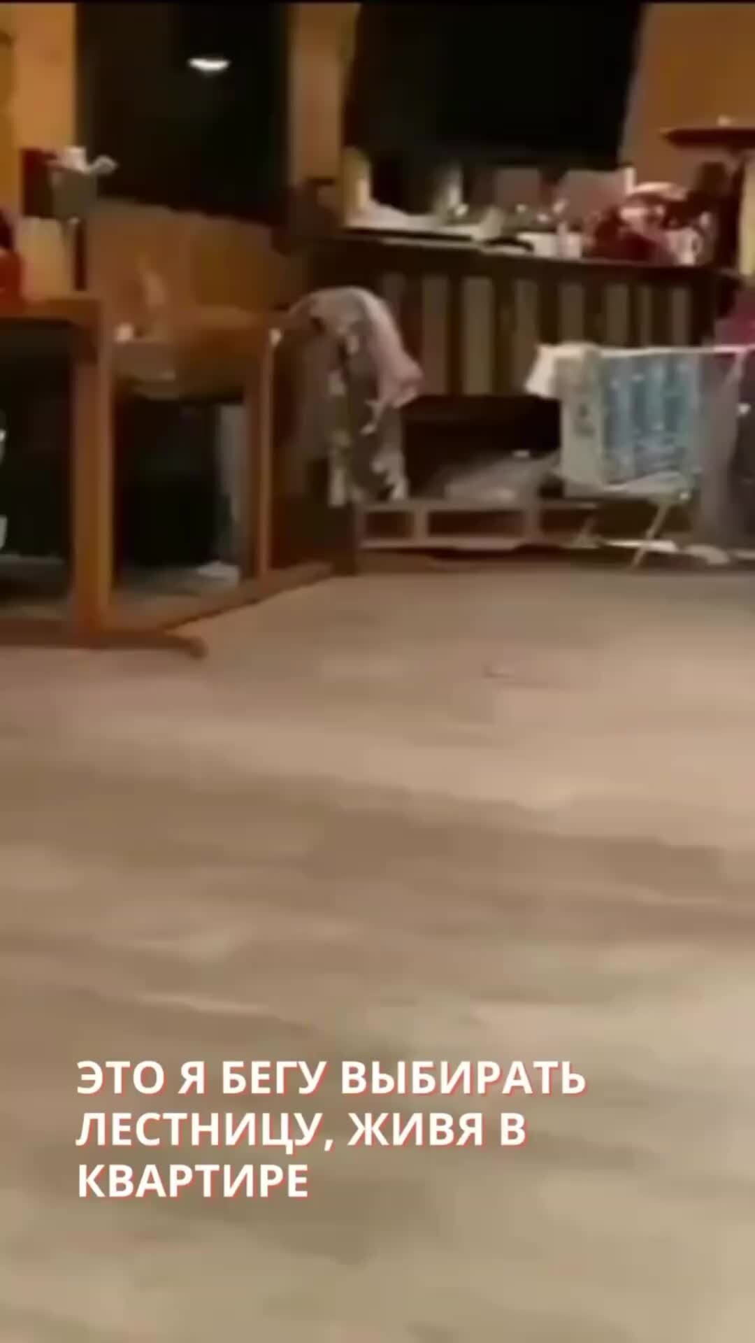 Завод лестниц на металлическом каркасе | Даже сова уже выбрала лестницу ...