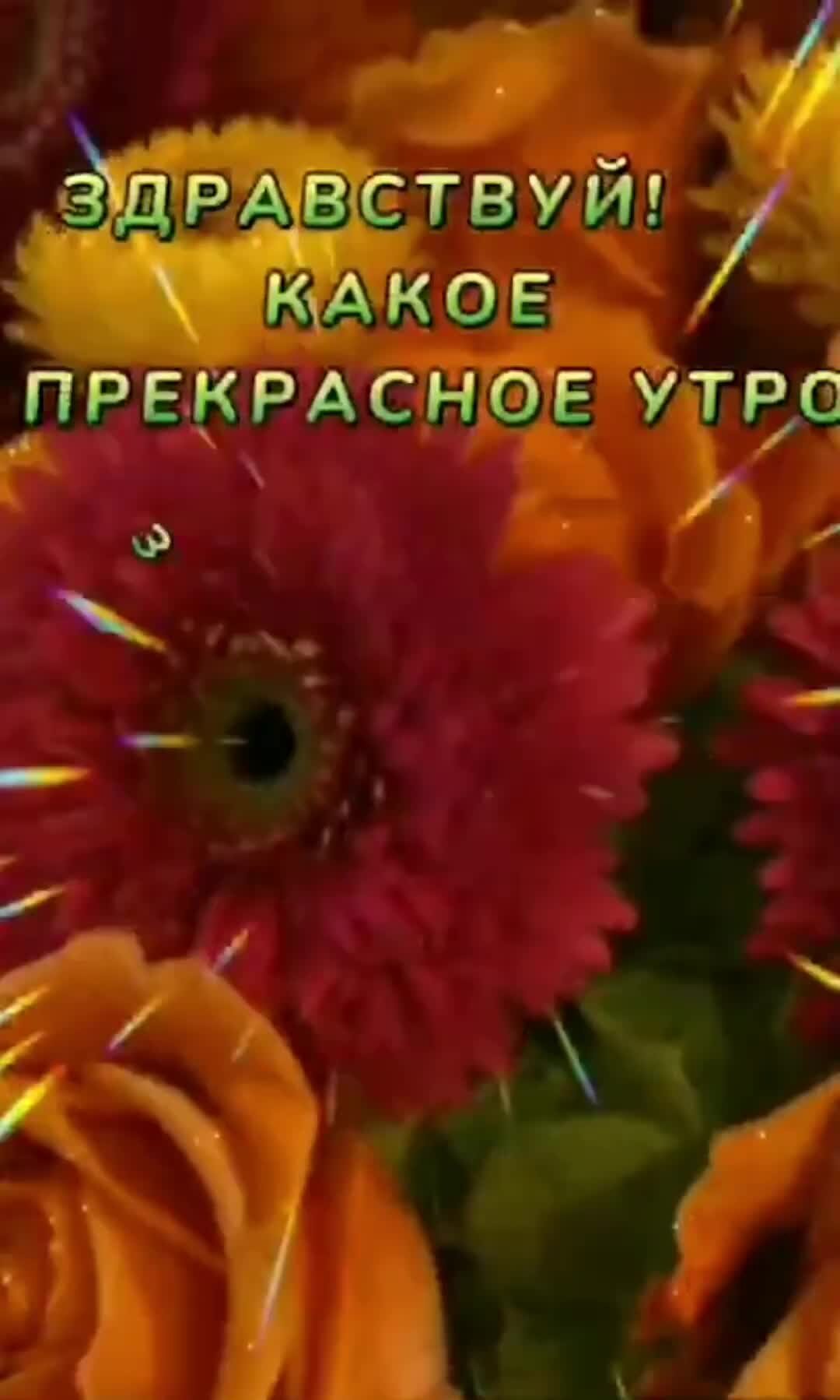 Гифки здравствуй новый день