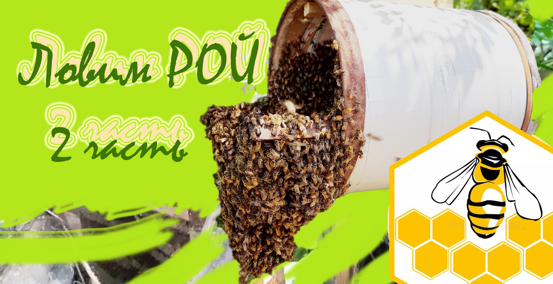 промокоды в симулятор пчеловода. роблокс коды в симулятор пчелиного роя. симулятор пчелиного роя роблокс. симулятор пчелиного роя роблокс. как вернуть рой пчел обратно в улей.