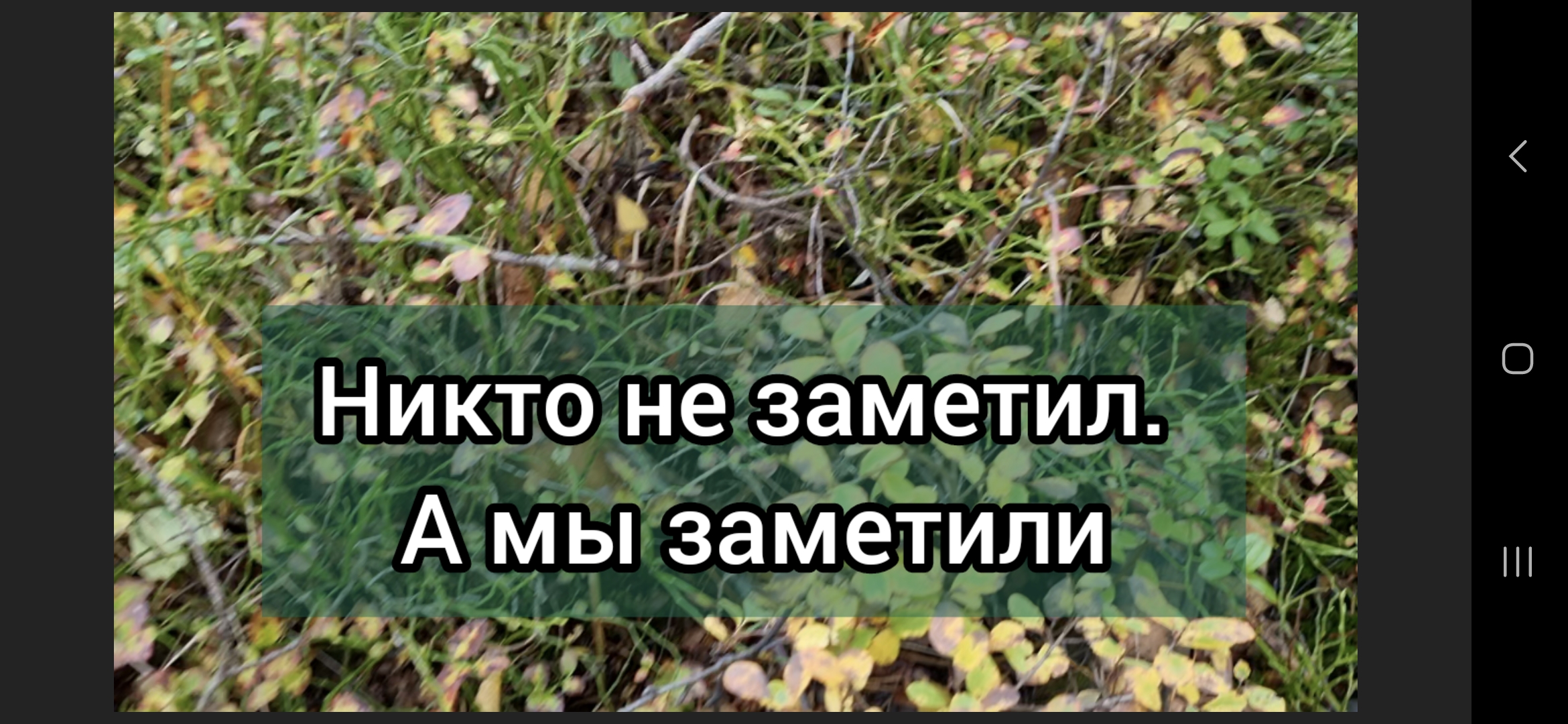 никто и не заметит что тебя не стало дота фото 8