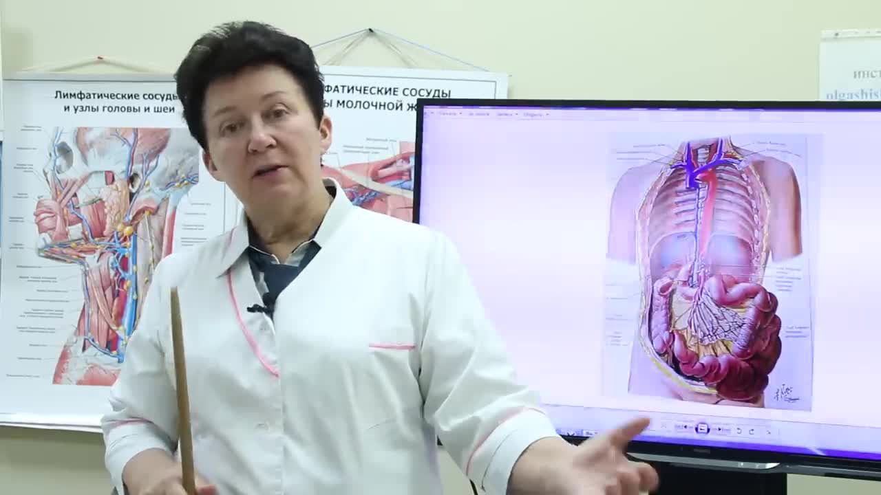Доктор phd символ. Профессор боль. Профессор боль. Доктор желчь картавенко. Профессор соков.