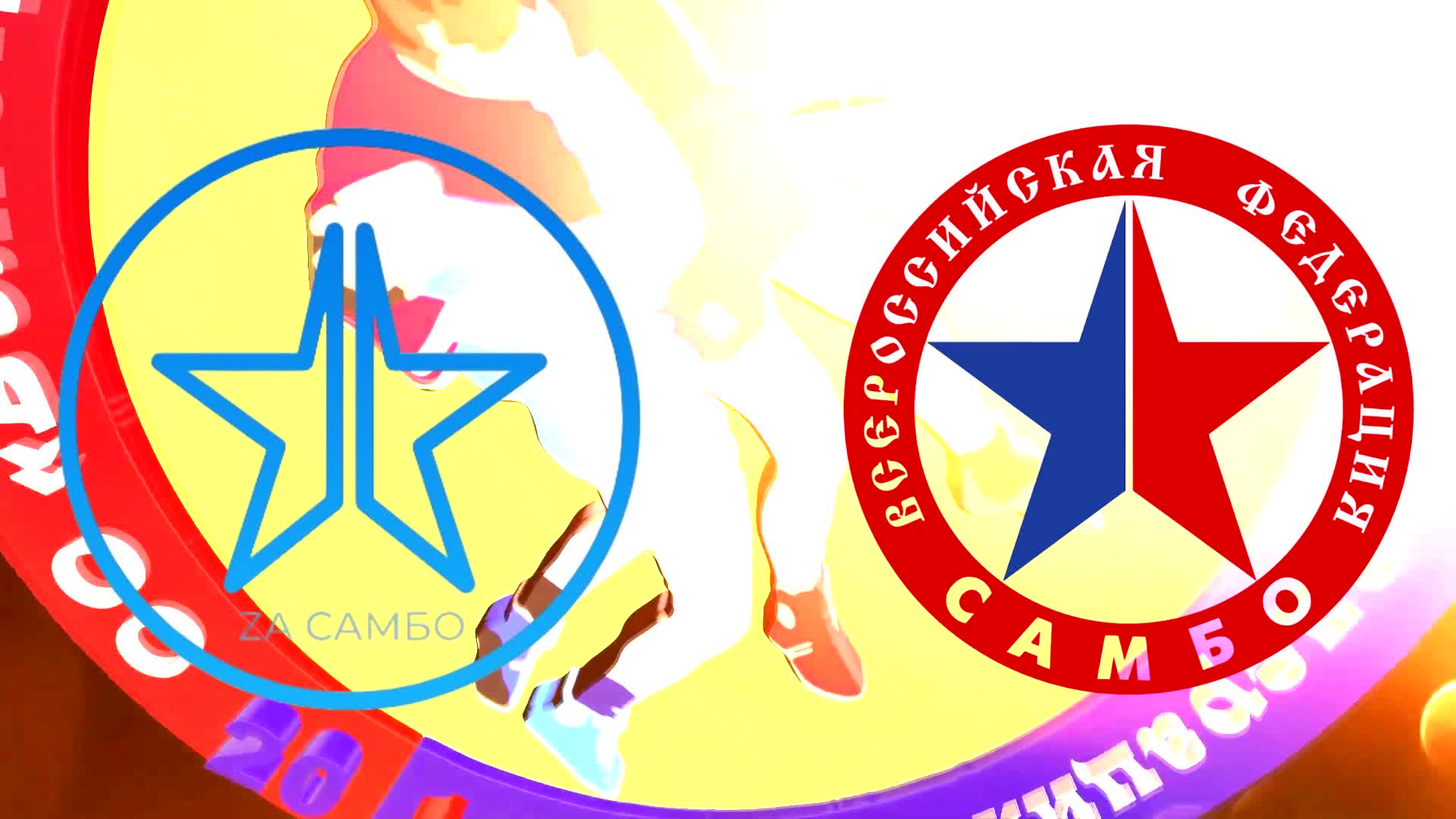 Региональная спортивная федерация