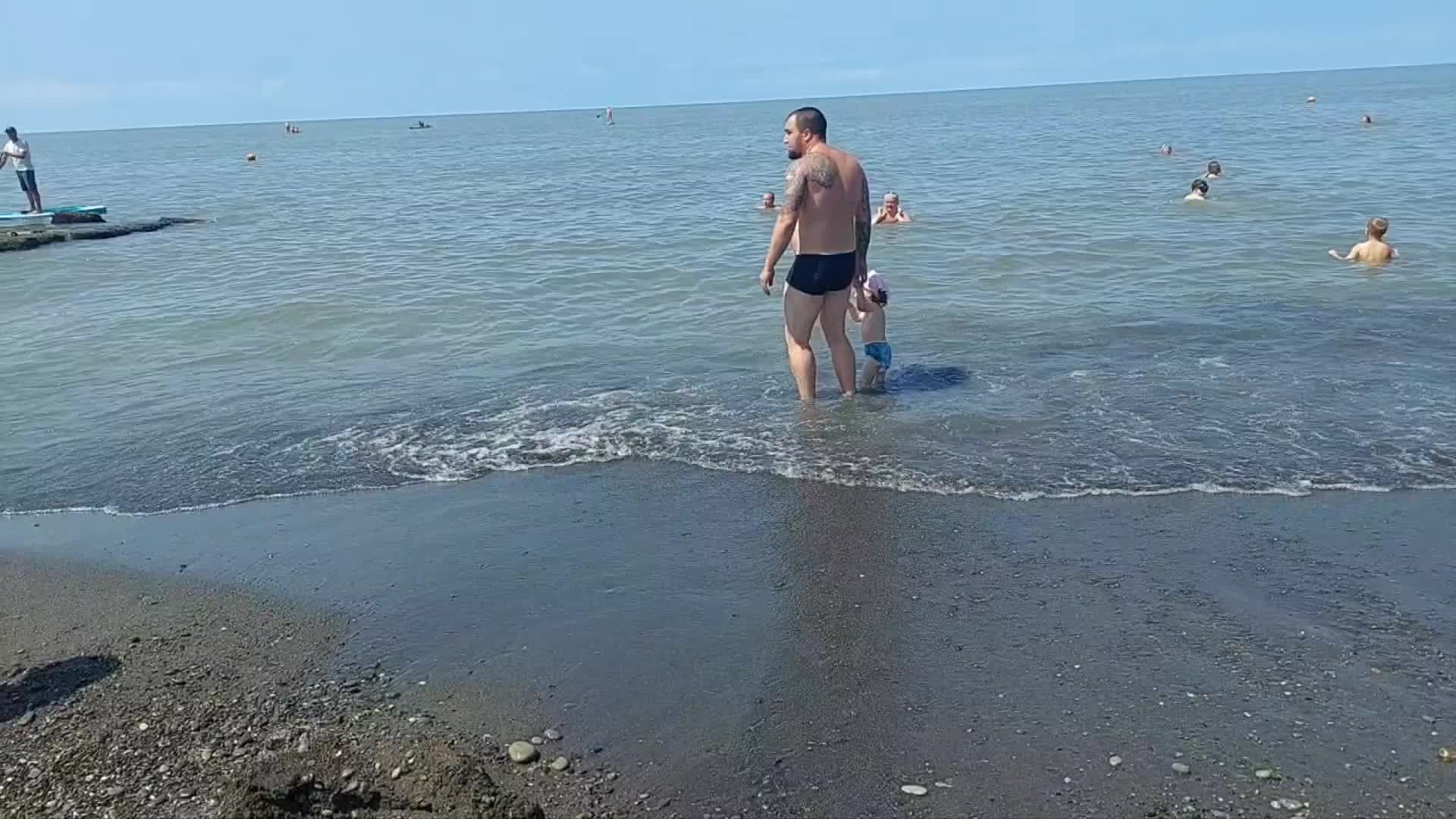лазаревское пляж чайка