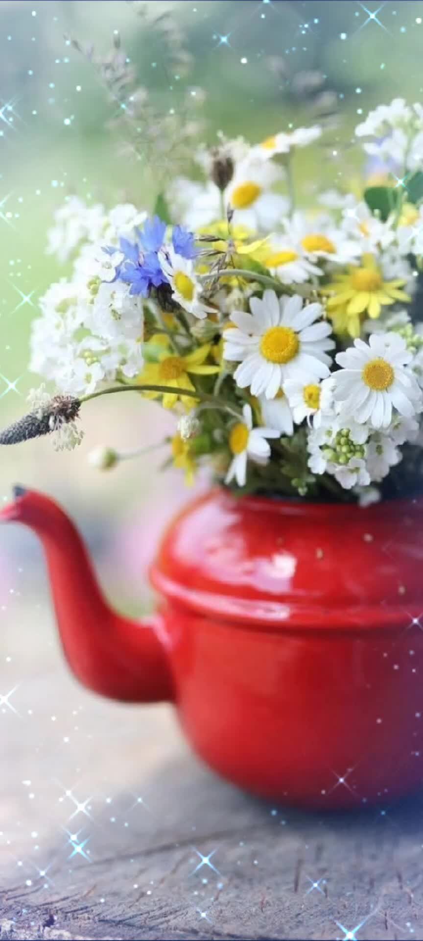 Необычные открытки с добрым утром и хорошим настроением. Доброго воскресенья. Отличного воскресного дня. Доброе утровомкресенье. Доброго воскресного дня.