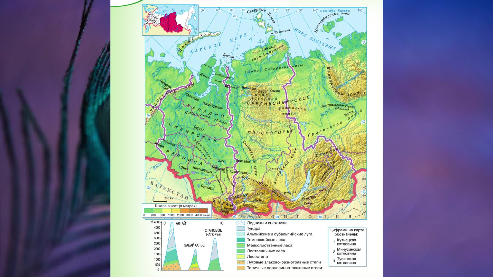Пространство урала 9 класс полярная звезда. Высотная поясность в горах урала. Пространство урала 9 класс полярная звезда. Высотная поясность уральских гор гор. Урал пространство урала.