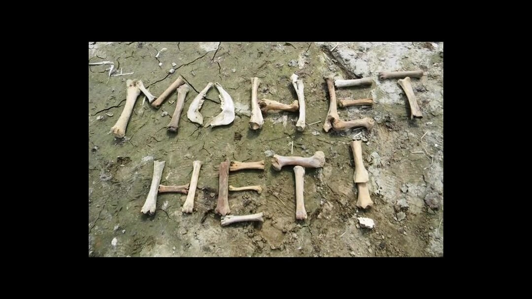 Коп с металлоискателем. Человек с металлоискателем. Находки на металлоискатель. Копатель с металлоискателем. Лопата поисковика.