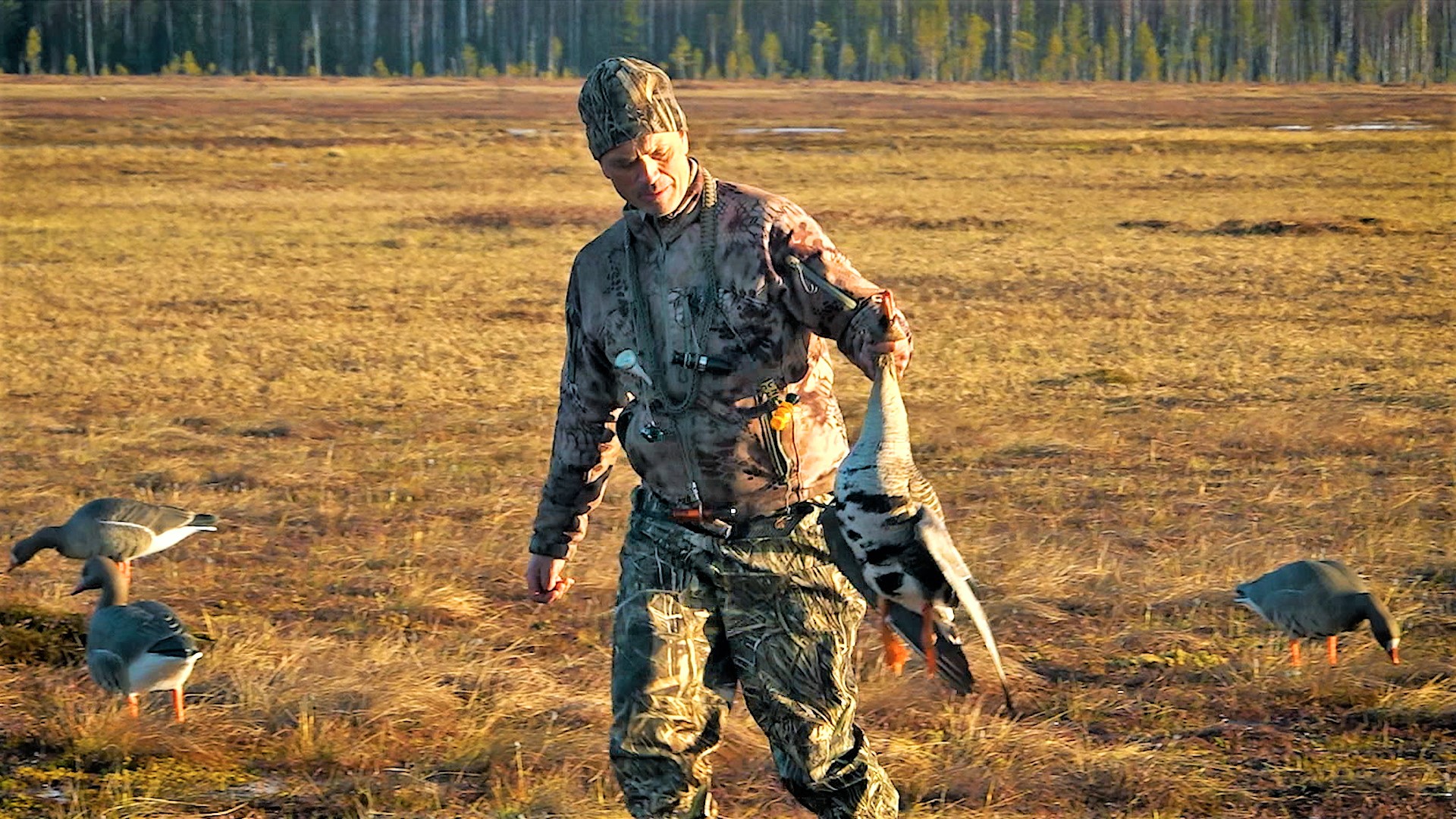 Подражание птицам. Мальчик птица деревня совокупление. Девочка с птичкой. День напутствий улетающим птицам 5 октября. Дикие утки в полете.