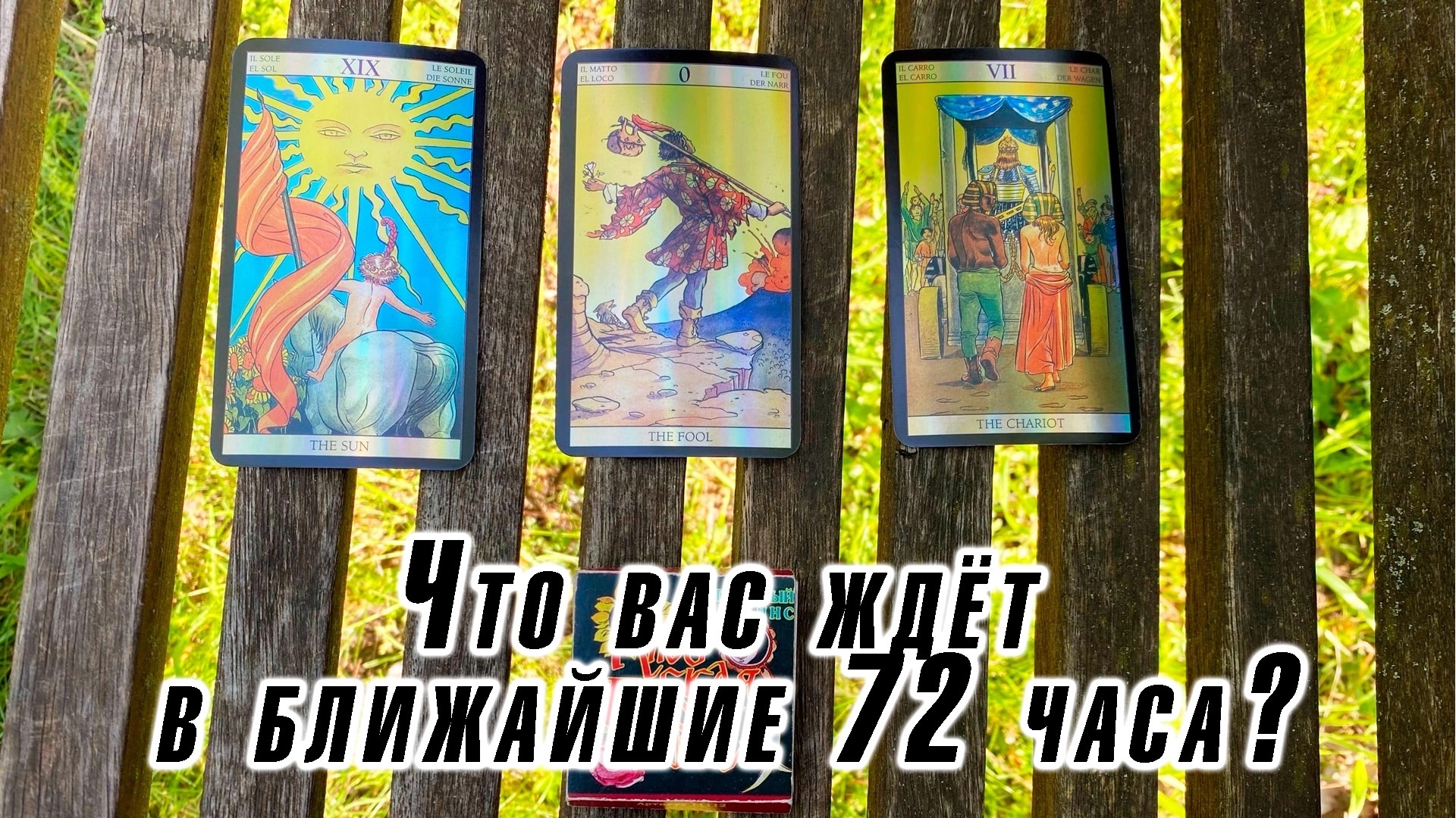 Карта таро алина