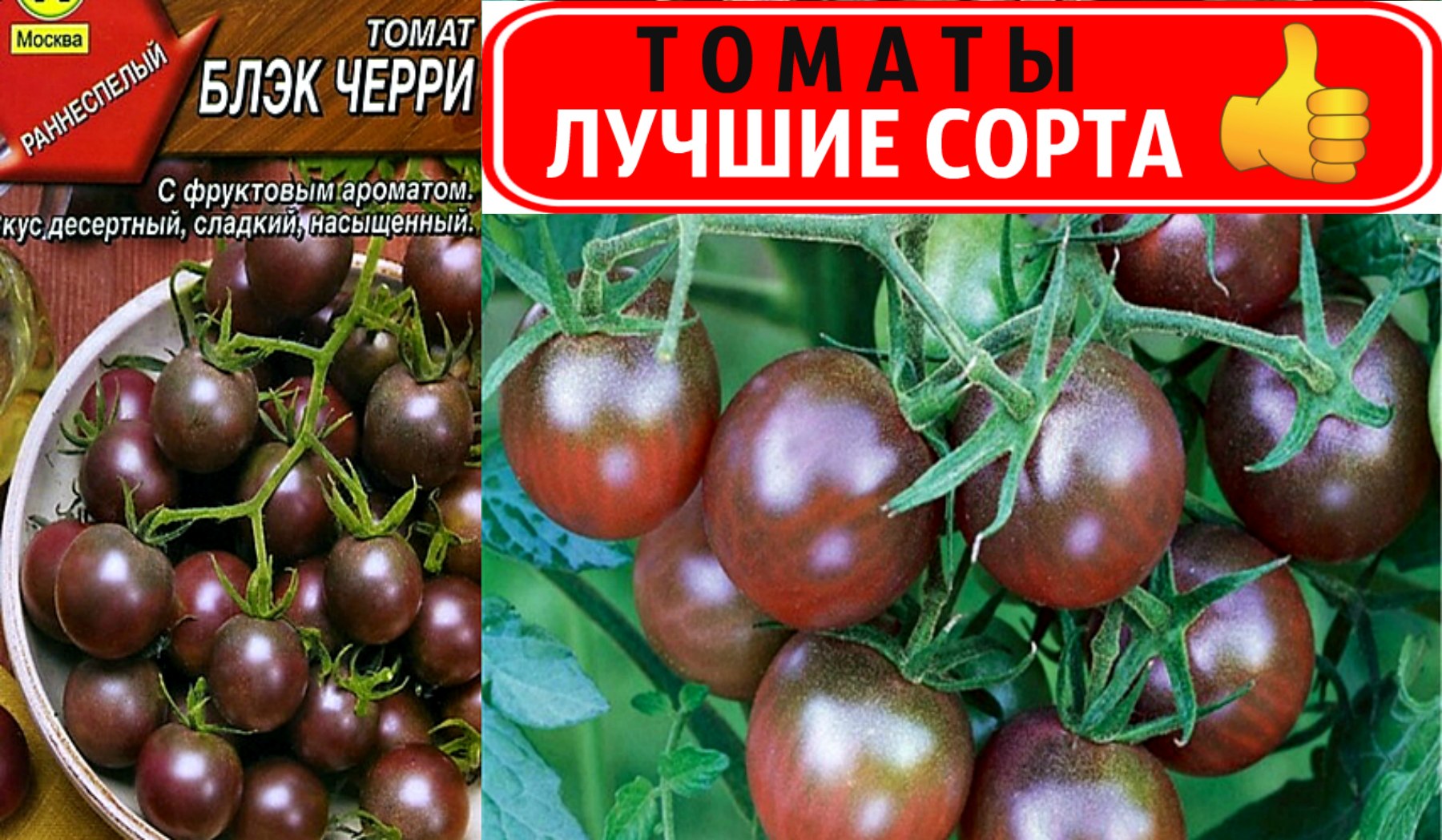 Томат черри черный принц