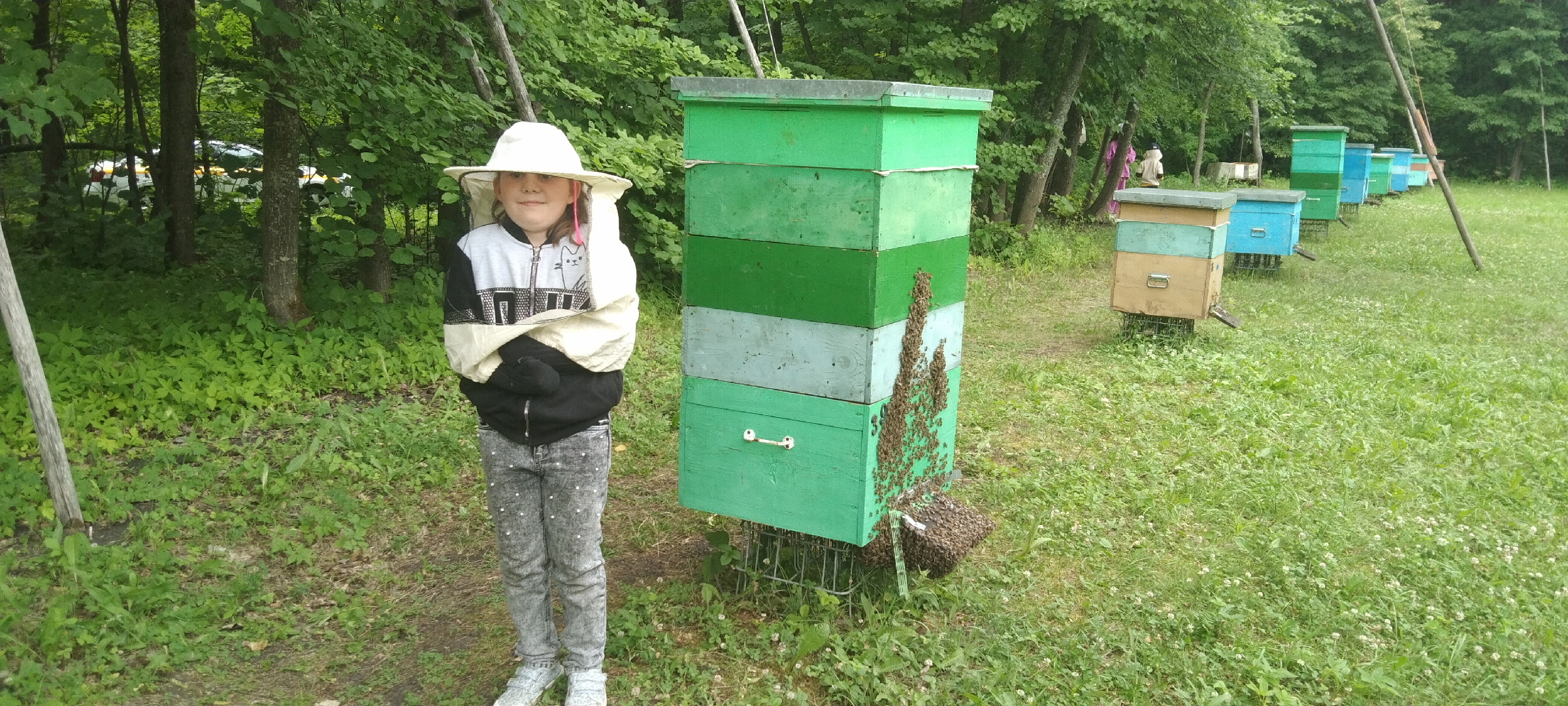 Пчеловодство в чувашии. Пчеловодство в чувашии 2020. Пасека в чувашии. Цивильский район чувашия. Пасека в лесу.