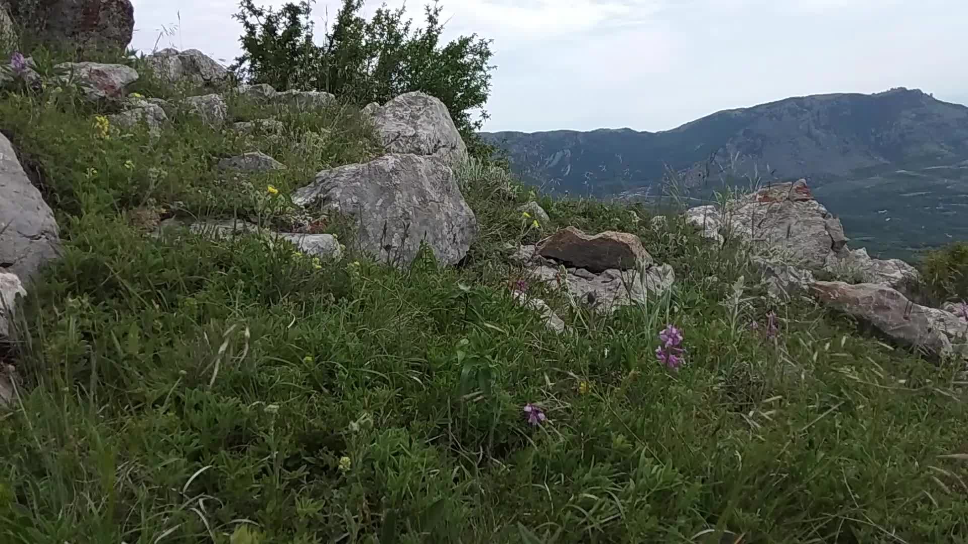 Центр место силы. Центр место силы