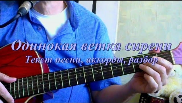 одинокая ветка сирени на гитаре. ноты песни ветка сирени для баяна. одинокая ветка сирени ноты для аккордеона. одинокая ветка сирени на гитаре. одинокая ветка ветка сирени.