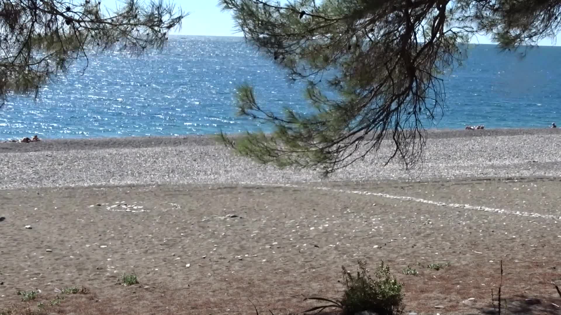 Температура моря в Пицунде. Красивая дорога в Пицунде к морю с соснами. Погода и море в Пицунде в июне /.