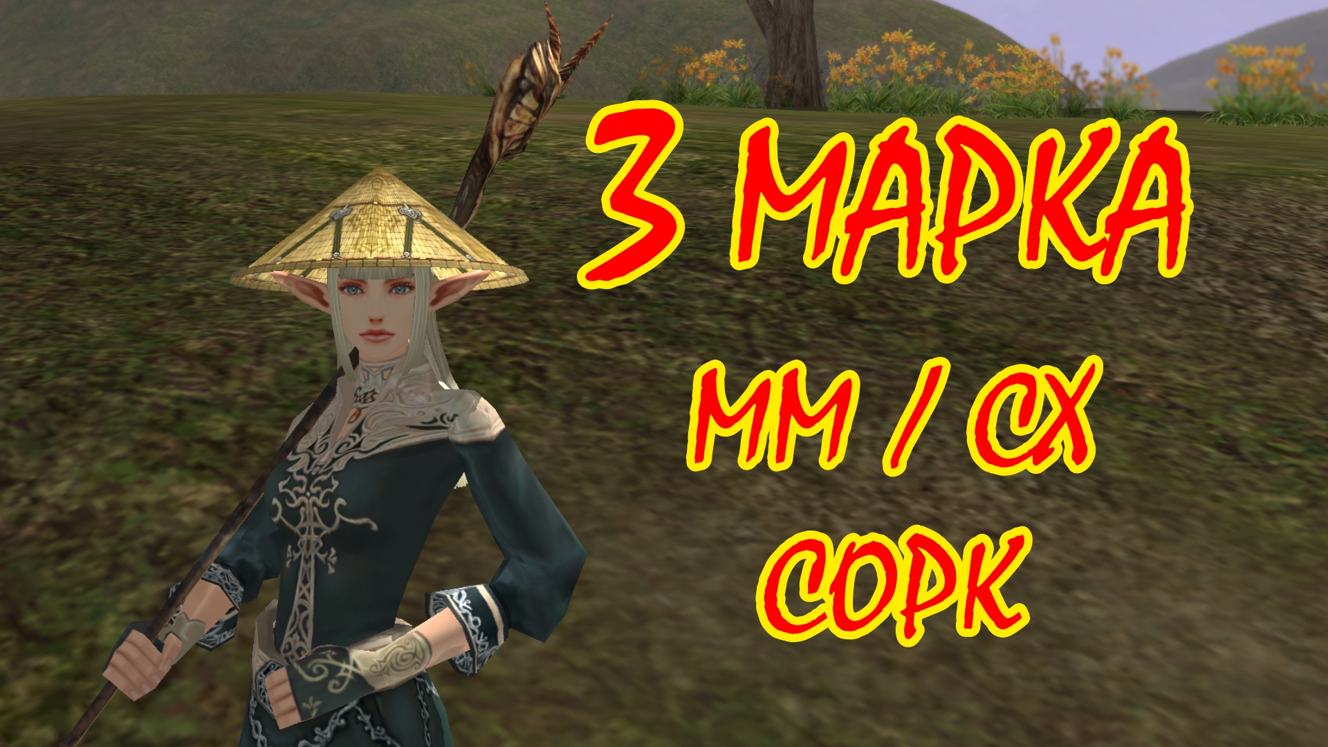 Л2 хф саб скилы в картинках. Линейдж 2 сх. Л2 сх профа. Lineage 2 spellhowler. Л2 сх профа.