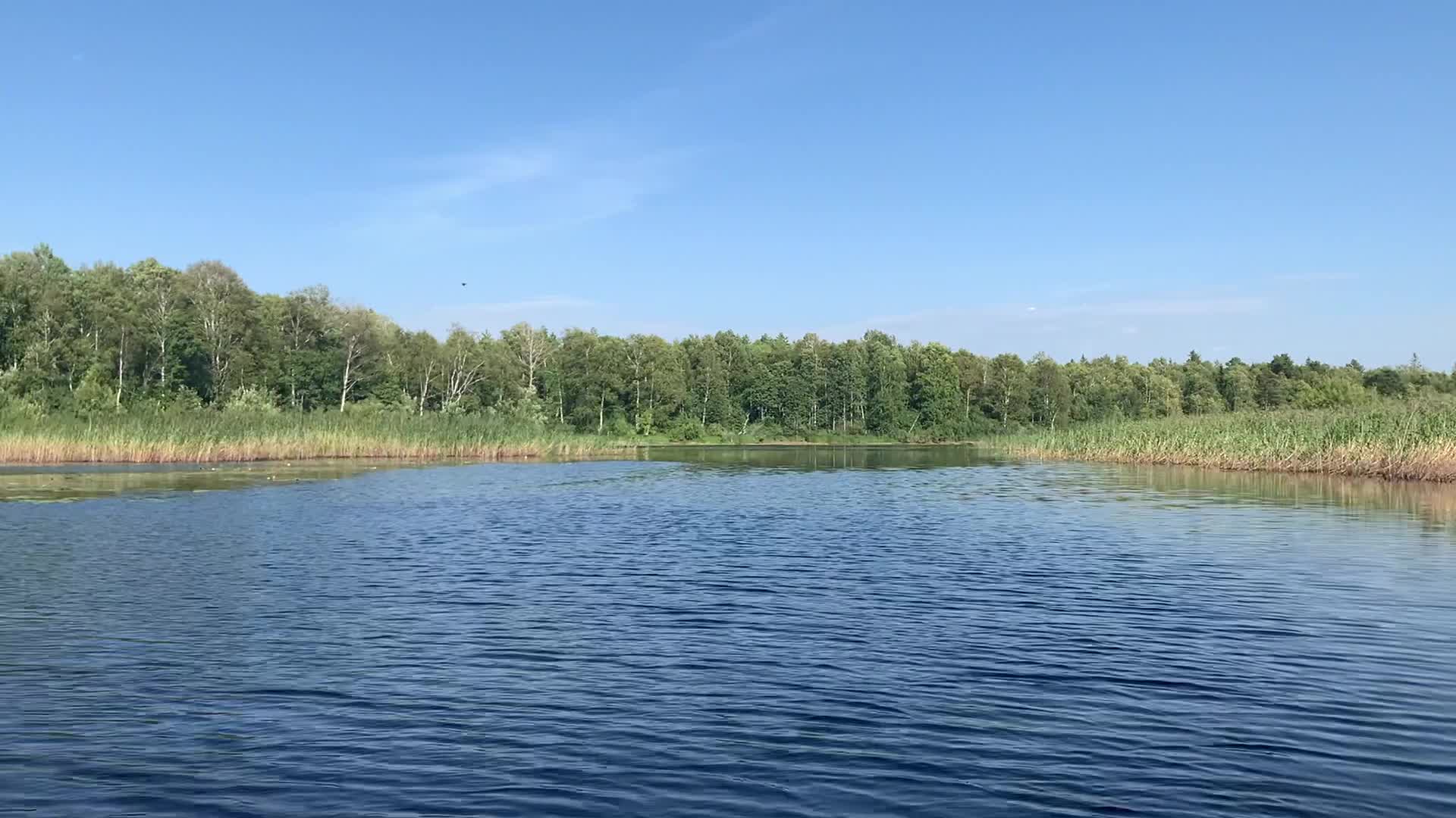 озеро воже вологодская область