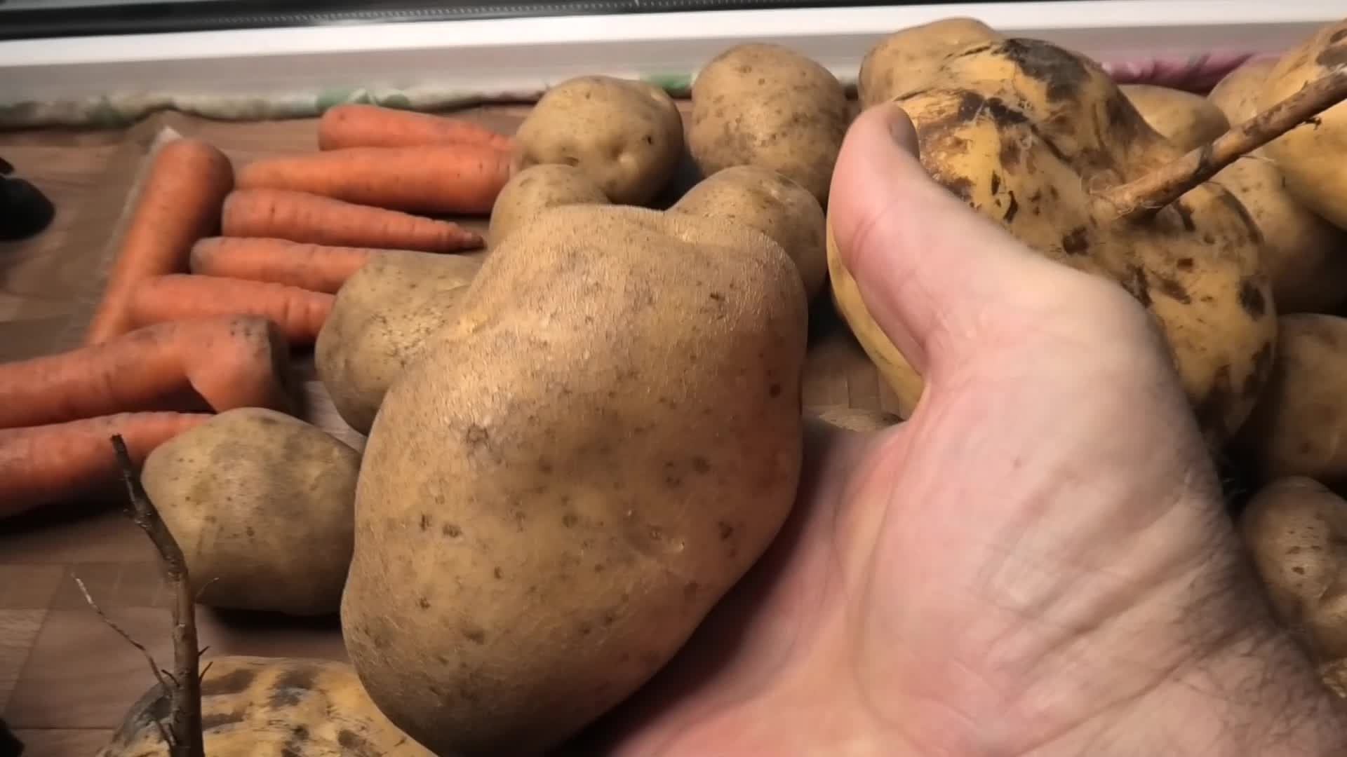 Что лучше картошка или репа