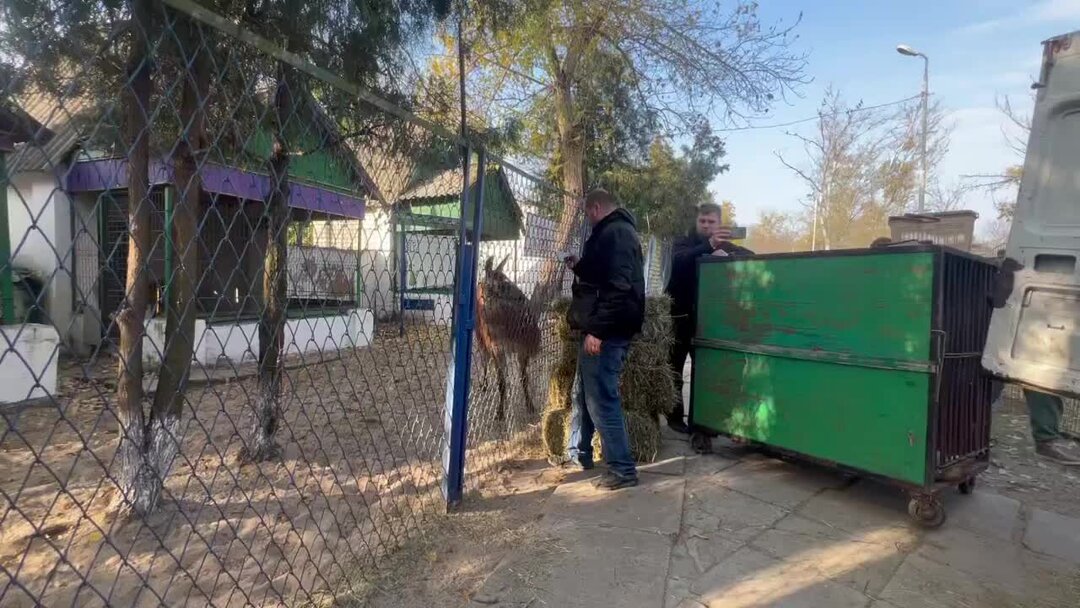 Мы в ХЕРСОНЕ! Словить семь диких енотов за семь минут! | Олег Зубков ...