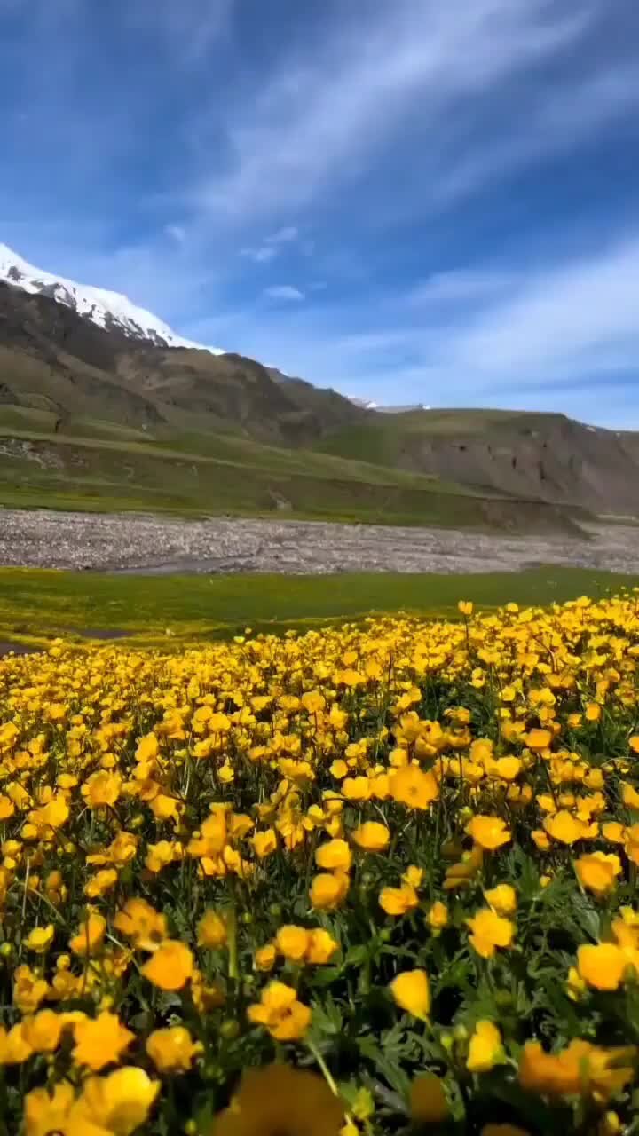 Поляна Эммануэля апрель