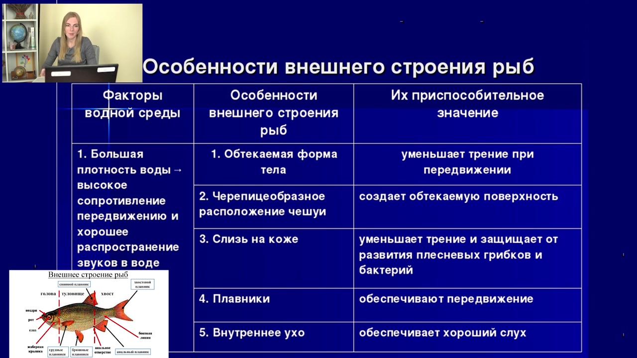 Строение рыбы тест