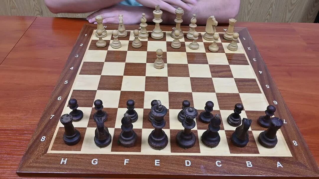 шахматы лучшие партии