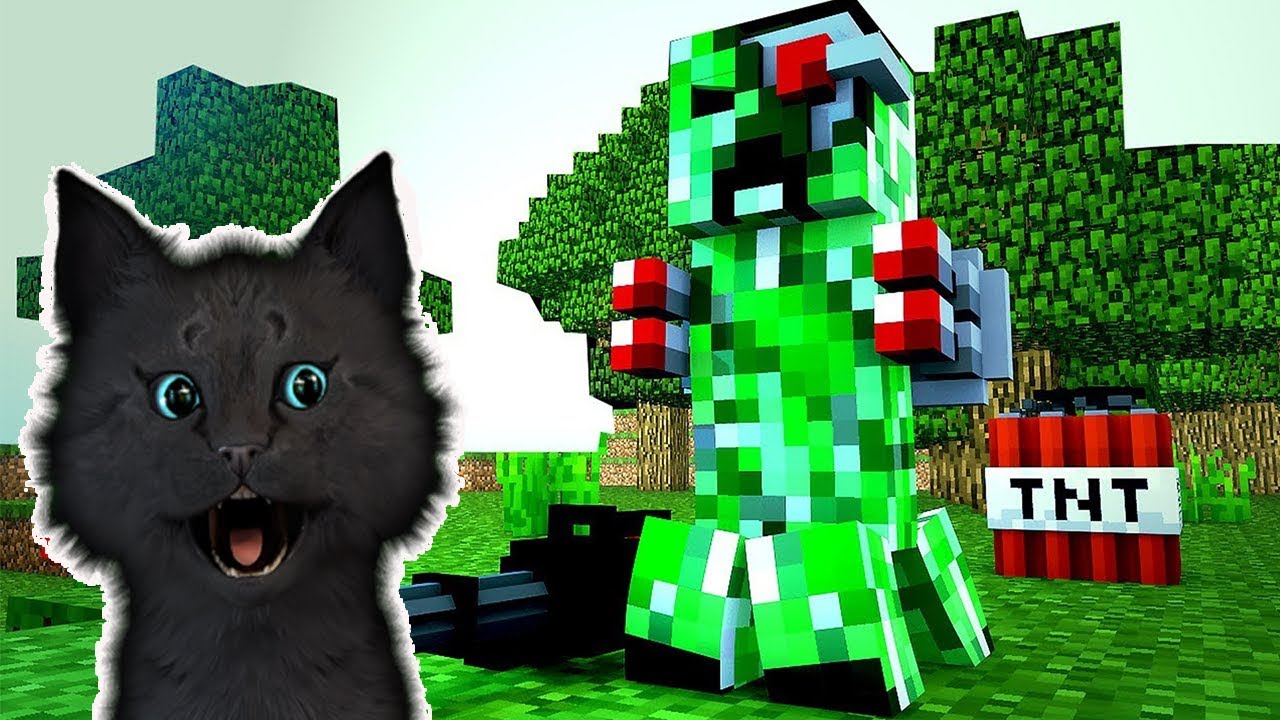 Мод minecraft cartoon cat. КРИПЕР кот. Котик с КРИПЕРОМ. Майнкрафт кот малыш. Супер кот майнкрафт.