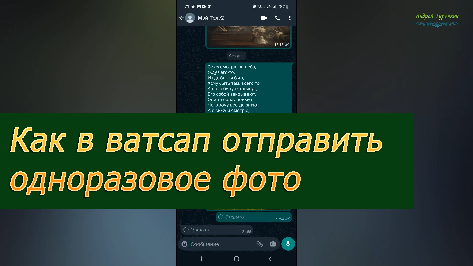 Одноразовые фото в ватсап