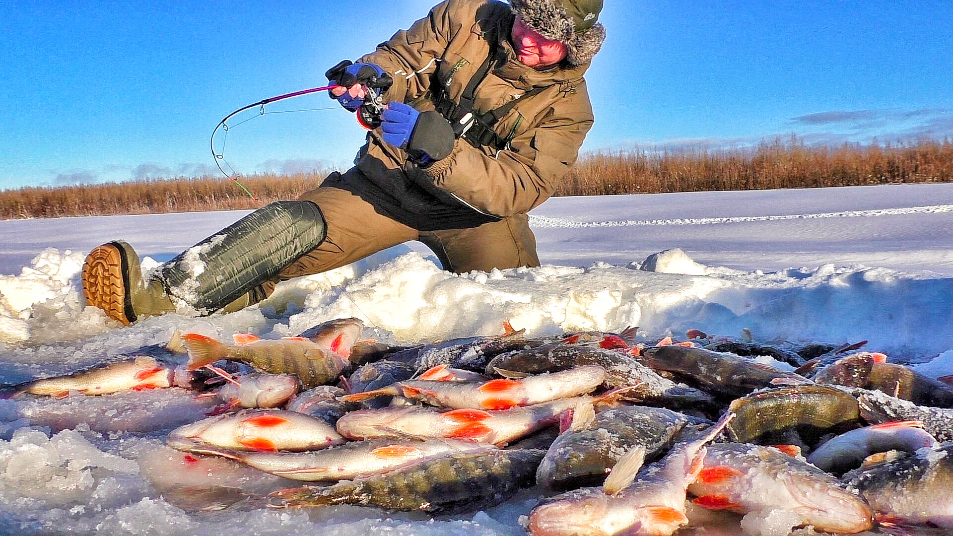 Новинки зимней рыбалки видео. Первый лед рыбалка. Рыбалка зима 2022. Рыбалка зимой 2022. Рыбалка на льду 2021-2022.