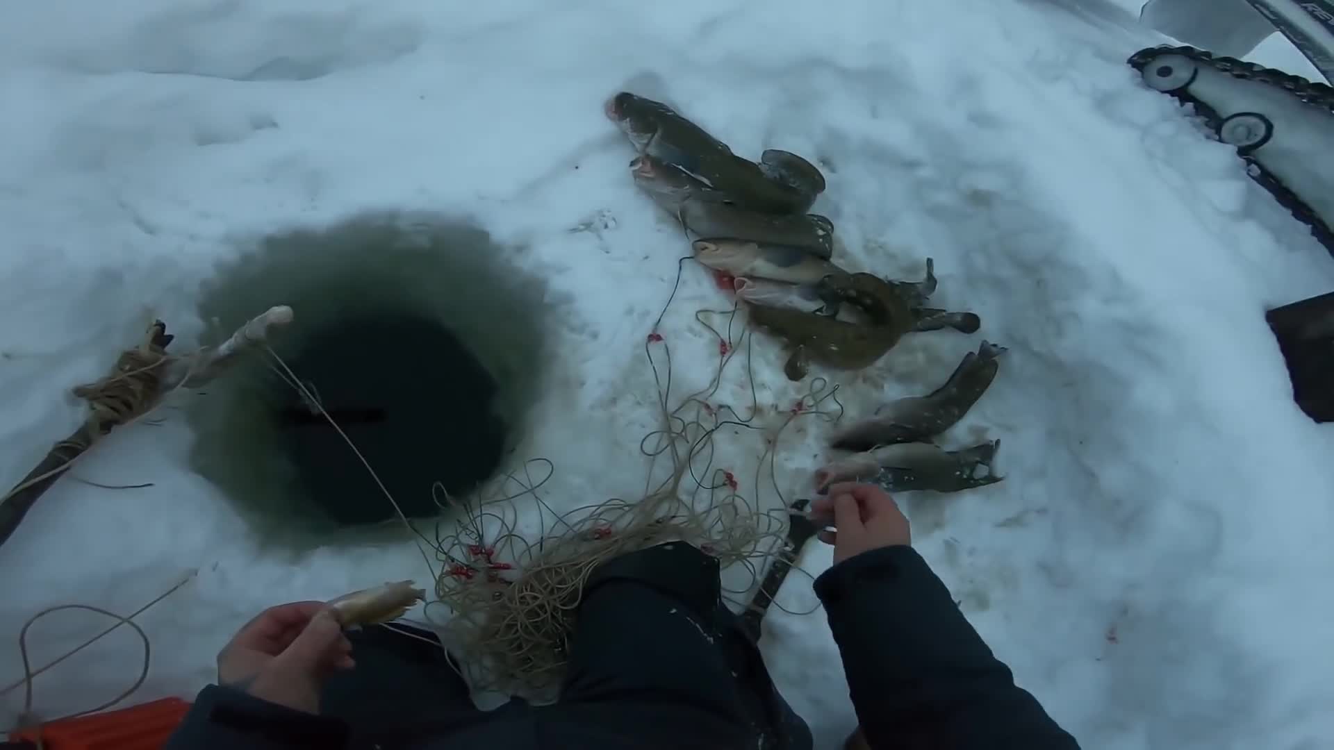 Это не диалоги о рыбалке видео