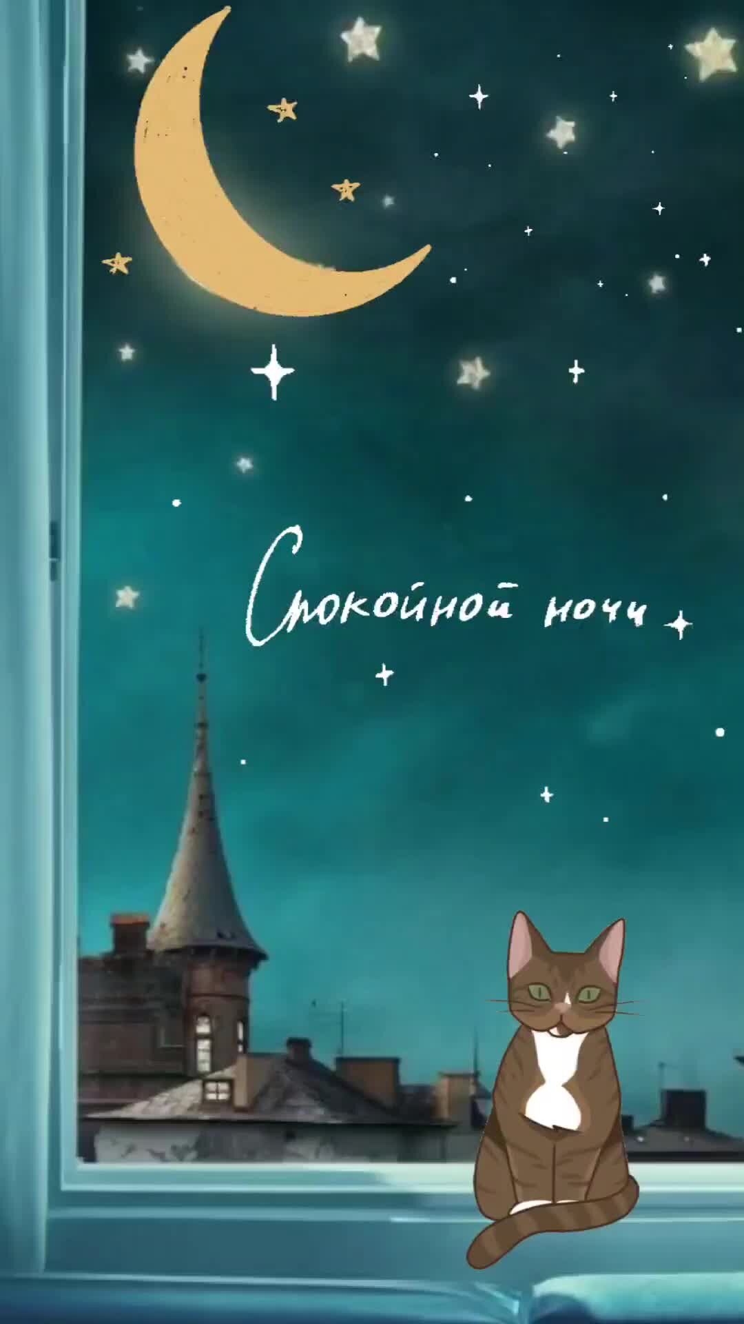 Котик в доме | Доброй ночи😻 | Дзен