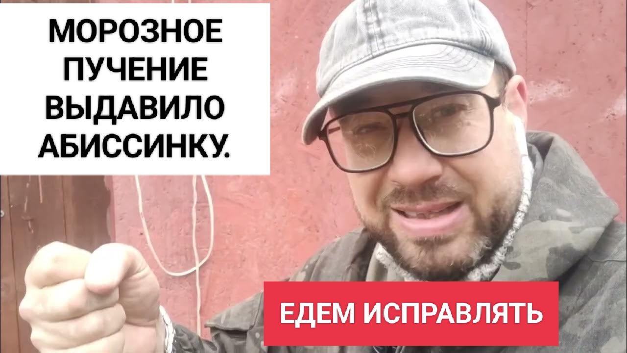 исправление ошибок в тетради. ошибки в программном обеспечении. плохой день можно исправить. как можно исправить ошибки. как как исправить.