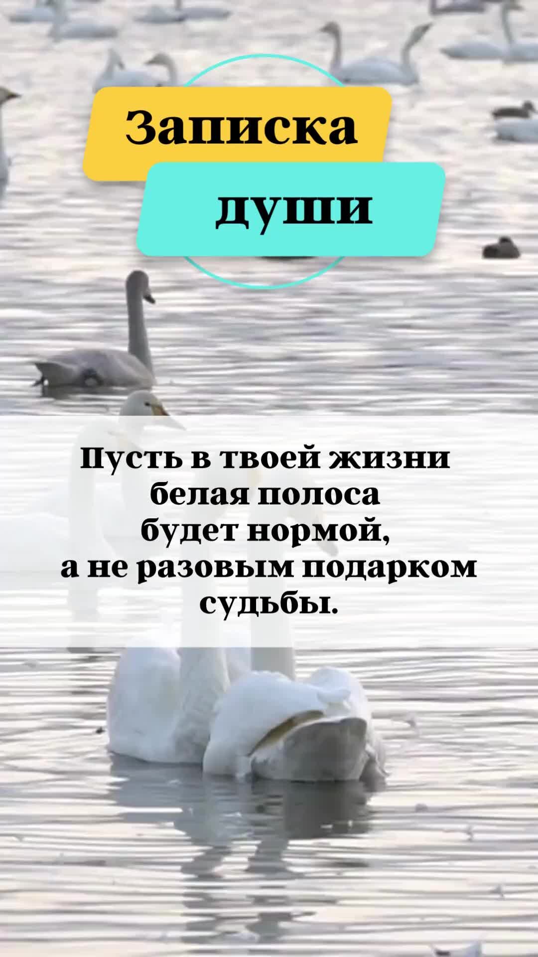 Картинки от души душевно в душу