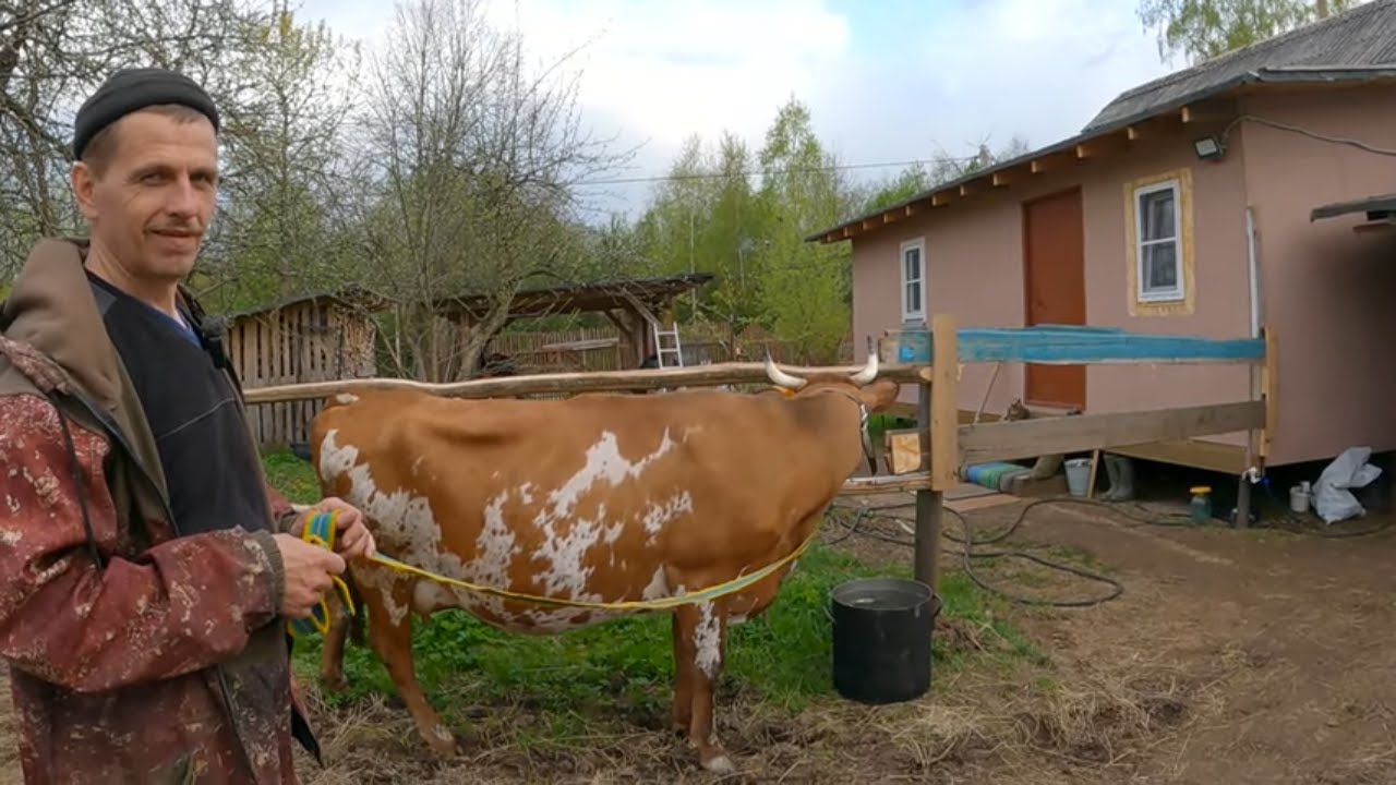 Деревенские горожане видео. Деревенский горожанин. Сельская жизнь. Жизнь в деревне. Деревенские будни.