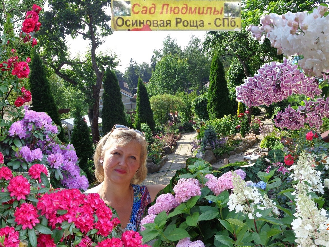 Сад людмилы турубановой-корнеевой. Сад в осиновой роще. Сад в осиновой роще. Парк осиновая роща санкт-петербург фото. Петербурга.