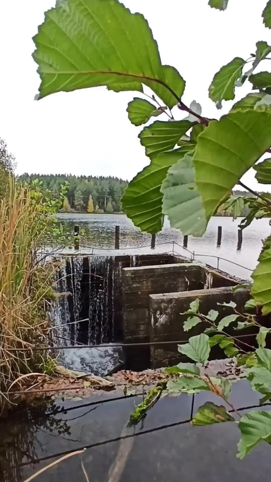 Путешествия по России | Интересное и красивое место для фотосъемки водосток  у пруда Армиево | Дзен