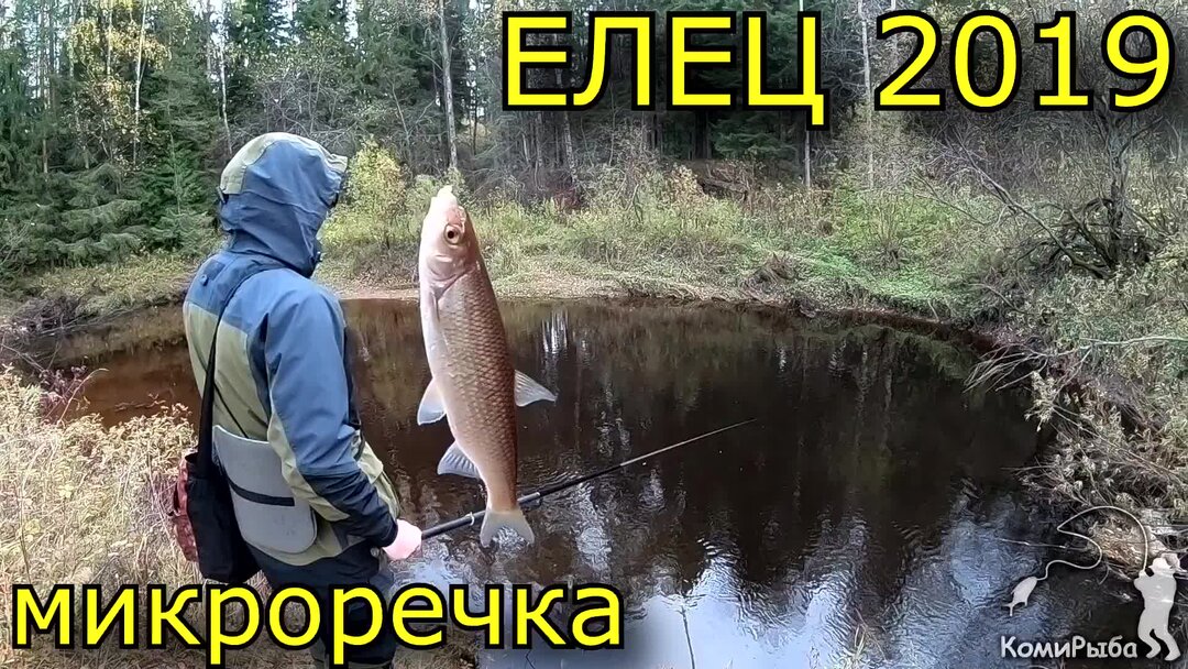 Клев ельца. Рыбалка на микроречке. Рыбалка 2019. Ловля Ельца. Настрой на Ельца.