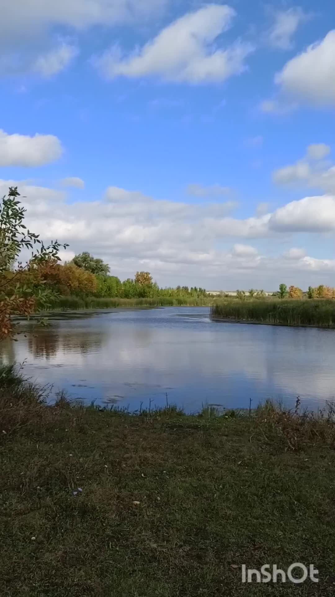 Ушла в декрет | Красивая золотая осень за городом и счастливые дети | Дзен