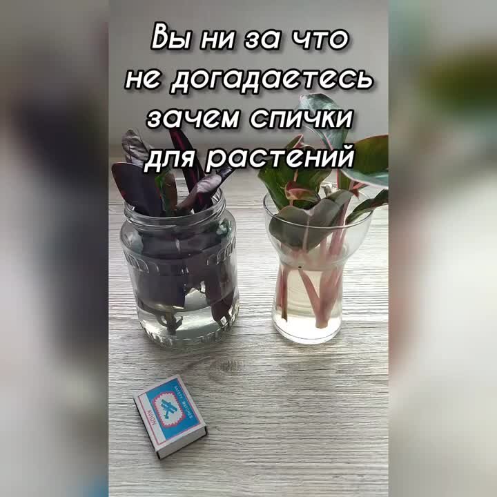 Зачем спички в туалете