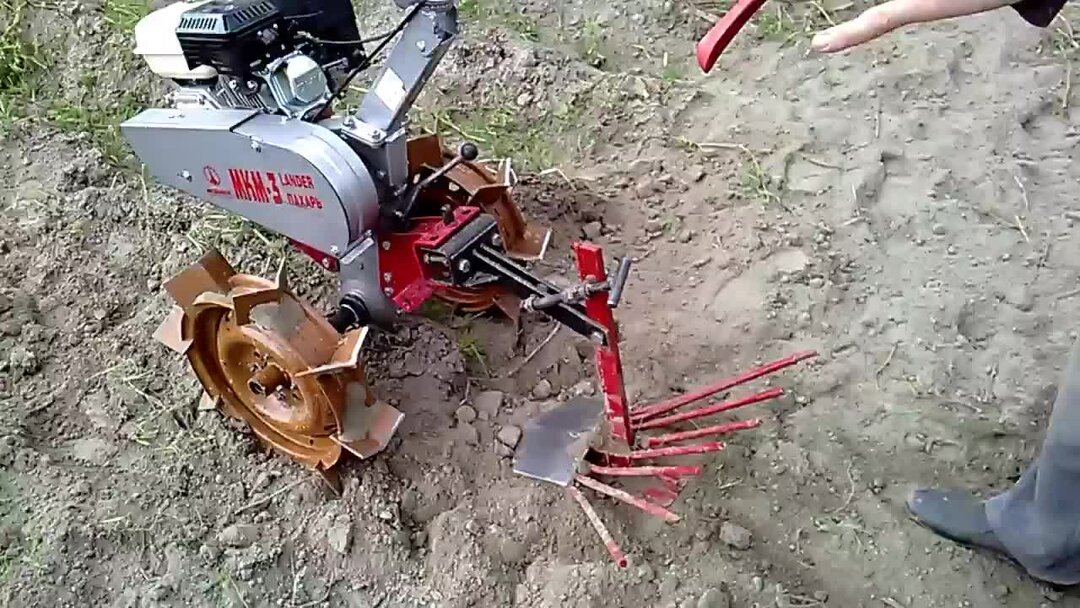 Копаю картошку смешные. Картофель ручной копки. Время копать картошку. Пора копать картошку. Копка картофеля.