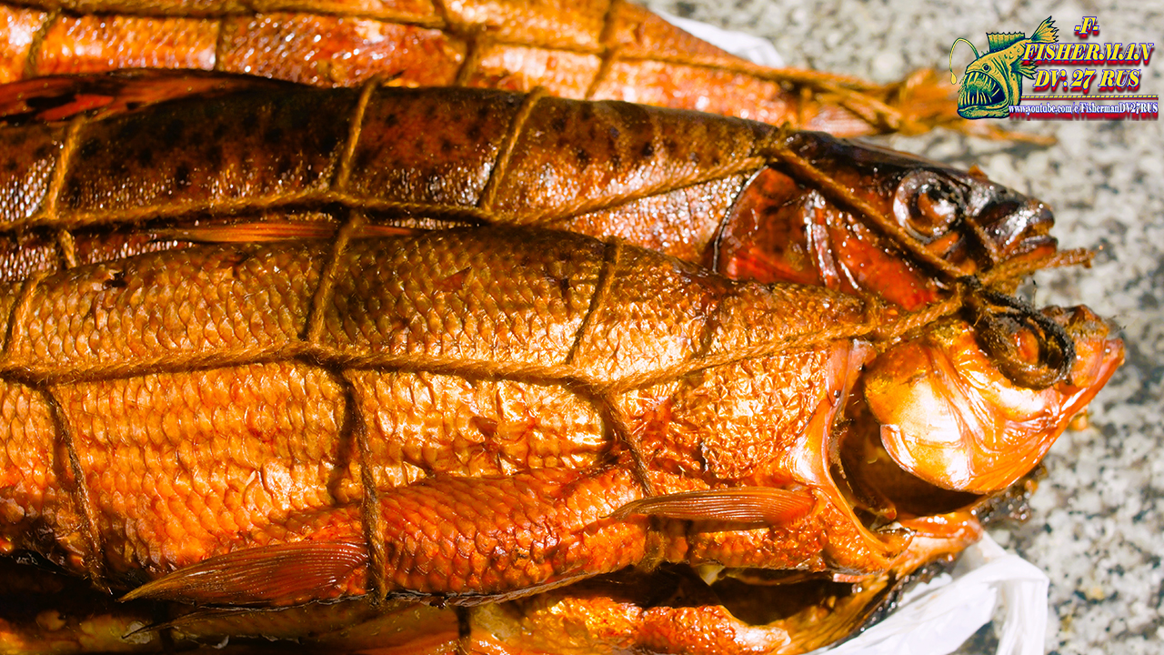 засолка рыбы для копчения. скумбрия в коптилке. копчение рыбы скумбрия. посол рыбы. засолка рыбы для копчения.