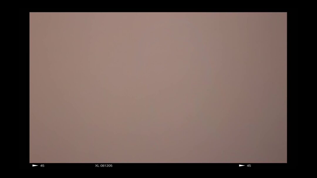 Гречка - ЛЮБИ МЕНЯ ЛЮБИ 💙(cover. Саша Капустина) | Квашеная Саша | Дзен