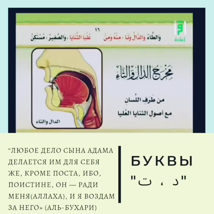 Правила чтения Корана Графические формы букв арабского алфавита