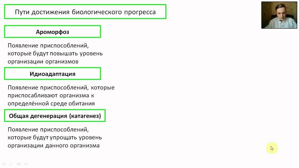 Пути достижения биологического прогресса ЕГЭ 2021 Биология Mercury onlineschool