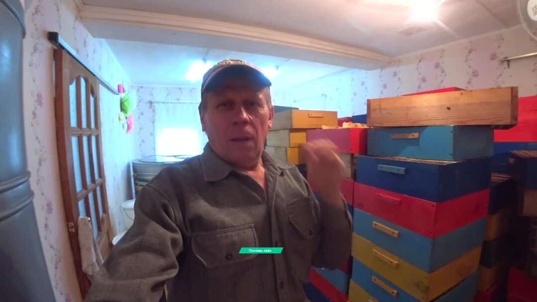 Пасека владимира рябухина