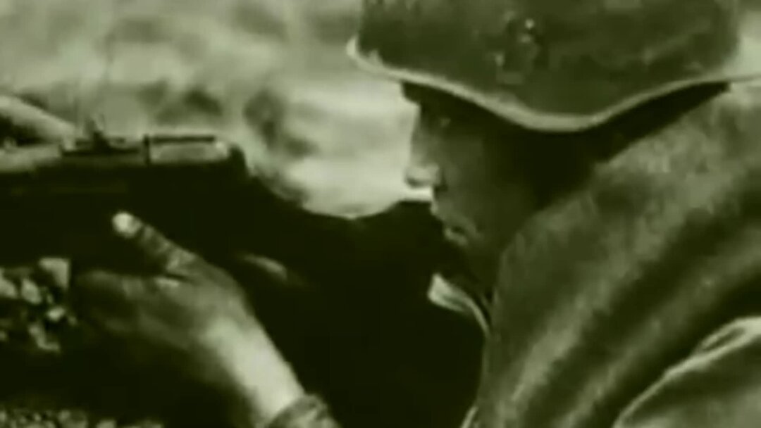 видео где ж. видео где ж. шариков харчеваться. видео где ж. сейчас родина там где брат.