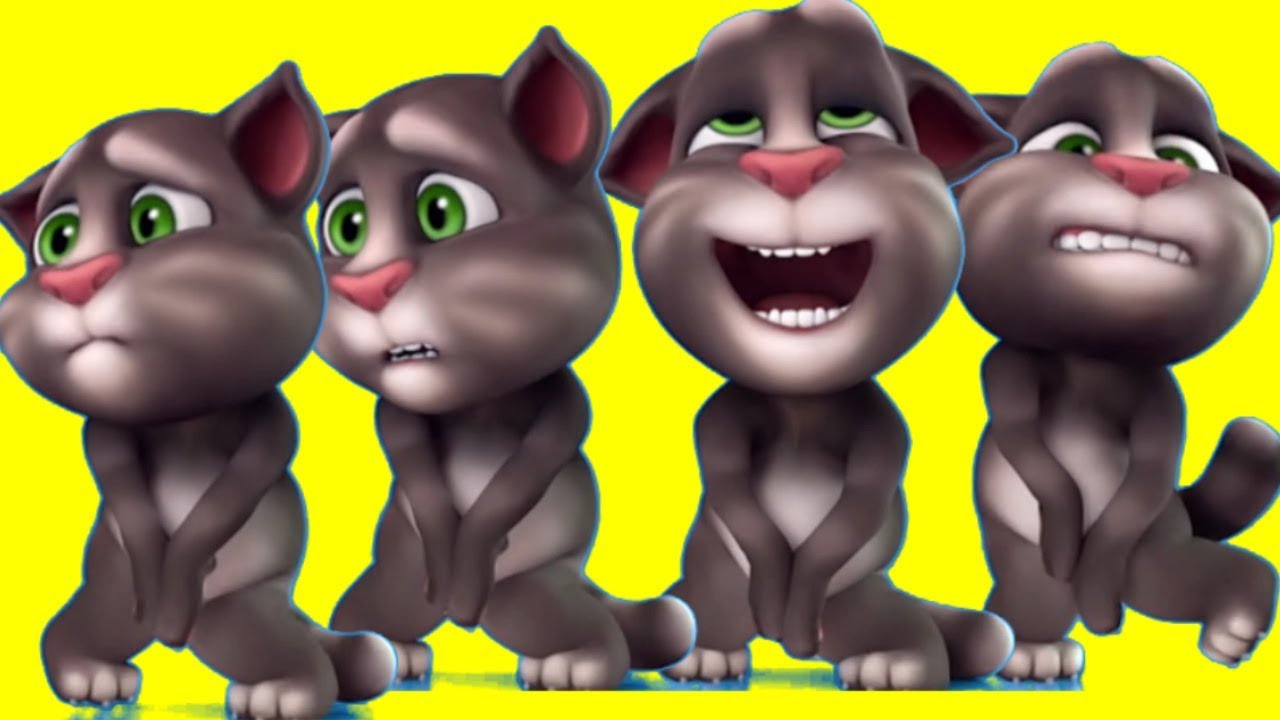 Talking tom 2010