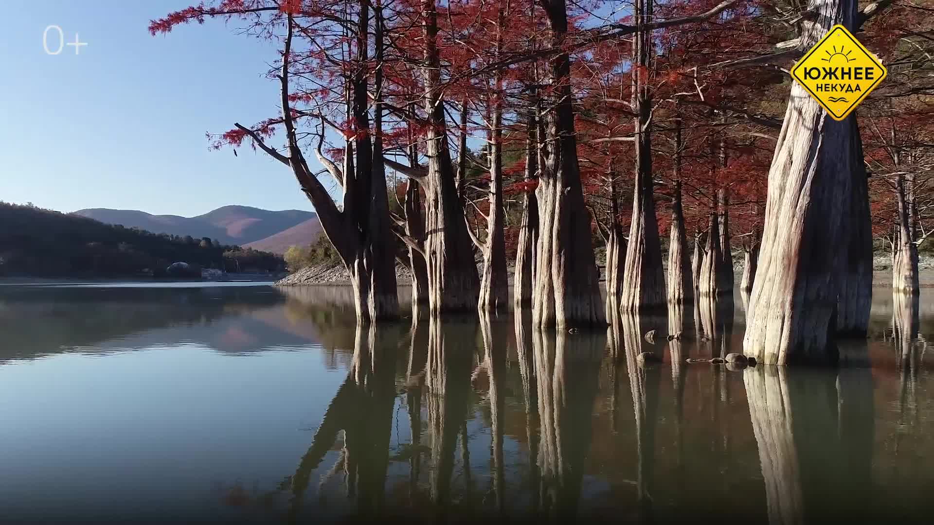 озеро в анапе с деревьями в воде