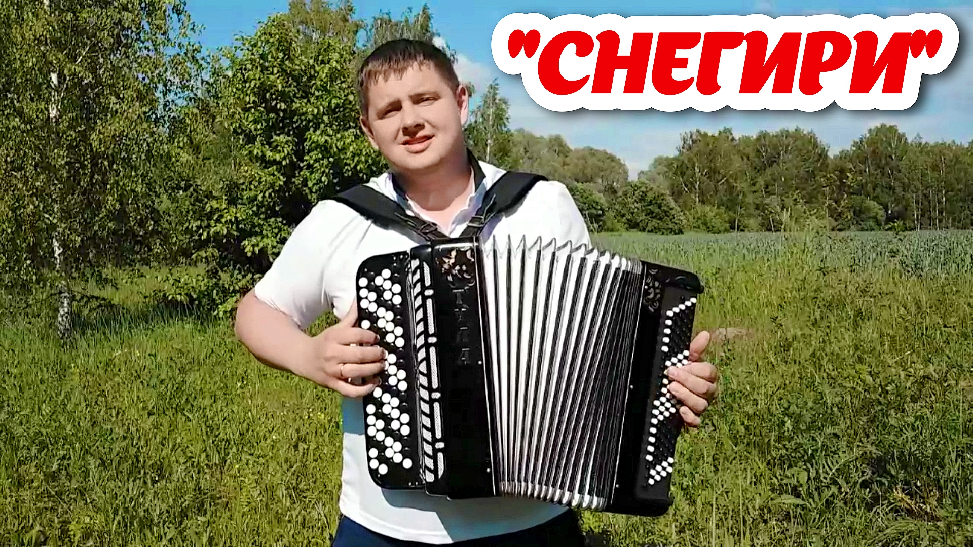 Песня снегири сергея. Песня снегири сергея. Трофимов снегири. Снегири текст песни. Песня снегири сергея.
