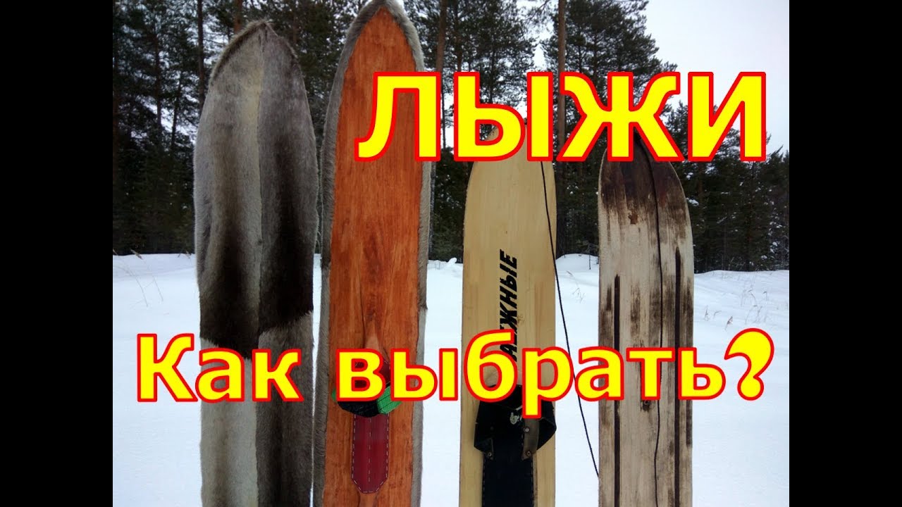 Охотничьи лыжи пластиковые с противооткатом. Как правильно выбрать охотничьи лыжи. Охотничьи лыжи голицы. Зимние лыжи охотничьи. Как правильно выбрать охотничьи лыжи.