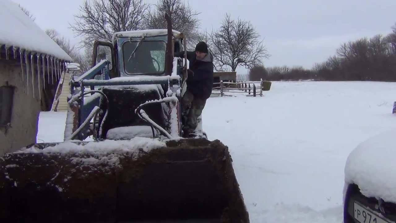 Корова кормит теленка. Канал в курской деревне. В курской деревне дзен последнее видео. Доение коров. Заброшеные деревни курская область.