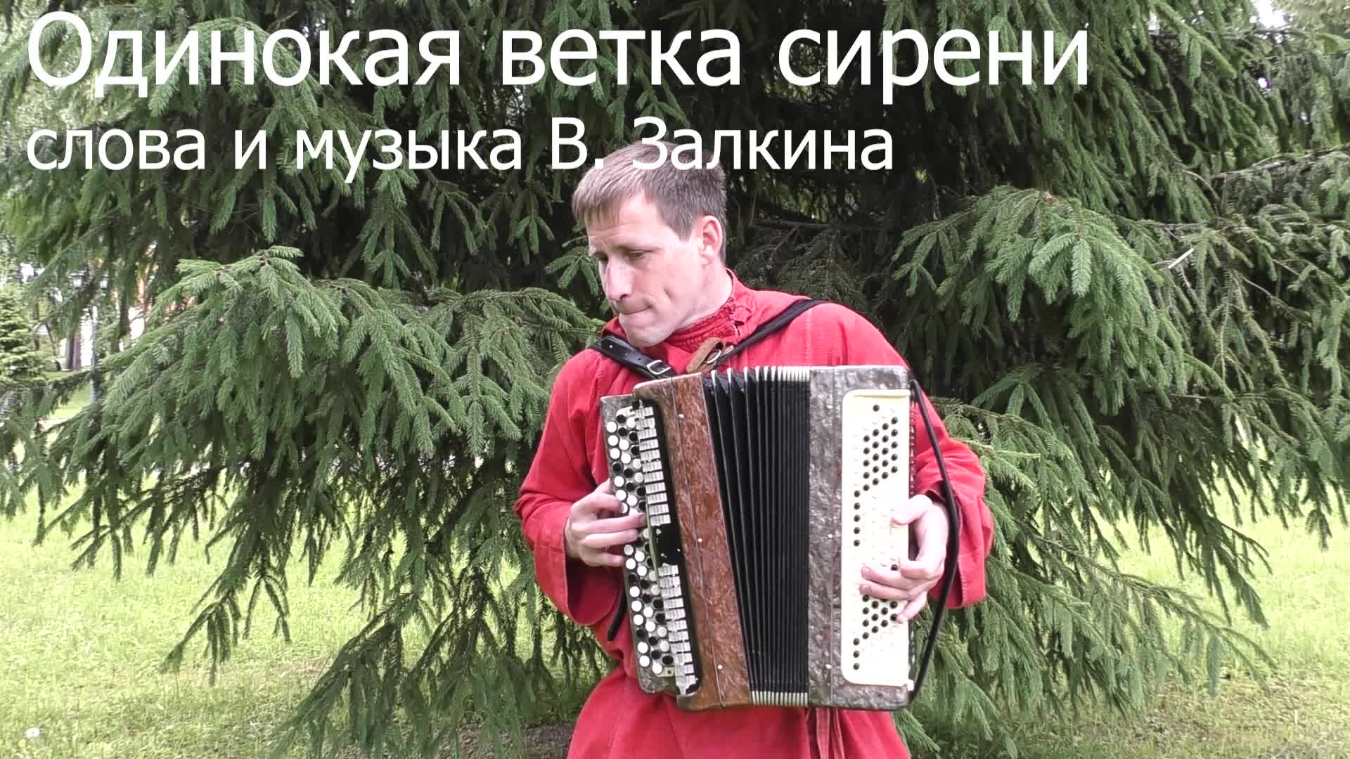 ветка сирени упала на грудь видео фото 15